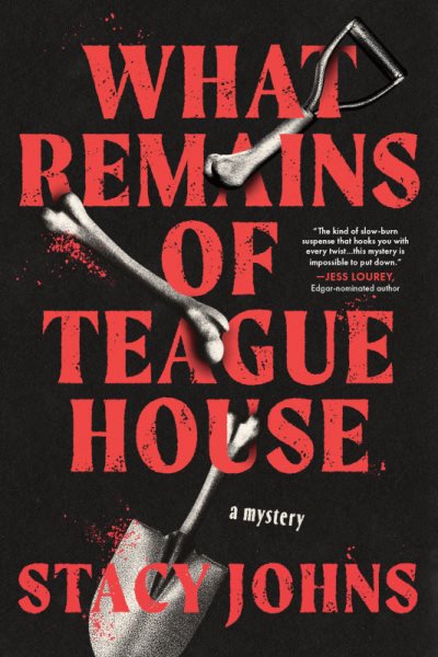 Cover art for What remains of Teague House : a mystery / Stacy Johns.