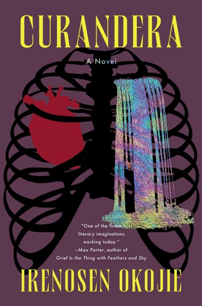 Cover art for Curandera : a novel / Irenosen Okojie.