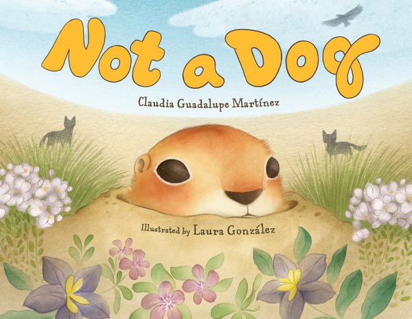 Cover art for Not a dog / Claudia Guadalupe Martinez   illustrated by Laura González.