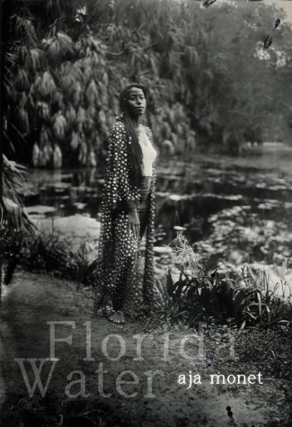 Cover art for Florida water : poems / aja monet.