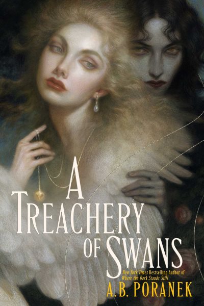 Cover art for A treachery of swans / A.B. Poranek.