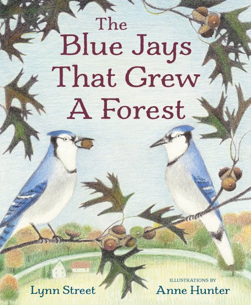 Cover art for The blue jays that grew a forest / Lynn Street   illustrations by Anne Hunter.
