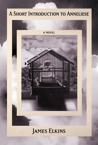 Cover art for A short introduction to Anneliese : a novel / James Elkins