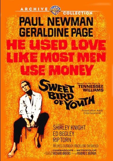 Cover art for Sweet bird of youth  [DVD videorecording]/ director and writer