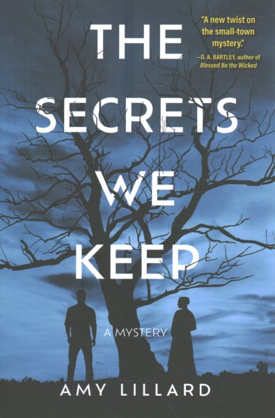 Cover art for The secrets we keep : a novel / Amy Lillard.