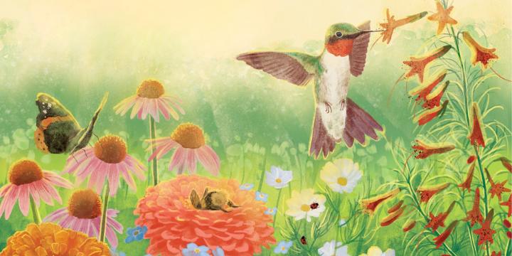 Watercolor image of Florida pollinators including hummingbird, butterfly and bee