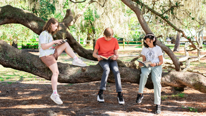 Three teenagers read outside in a park.