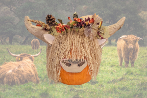 Pumpkin decorated as Highland Cow with long hair and flower crown