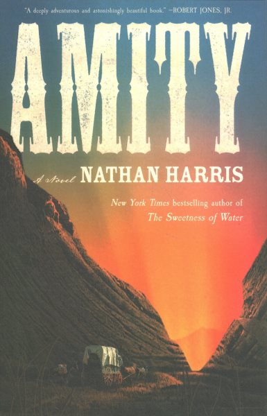 Cover art for Amity / Nathan Harris.