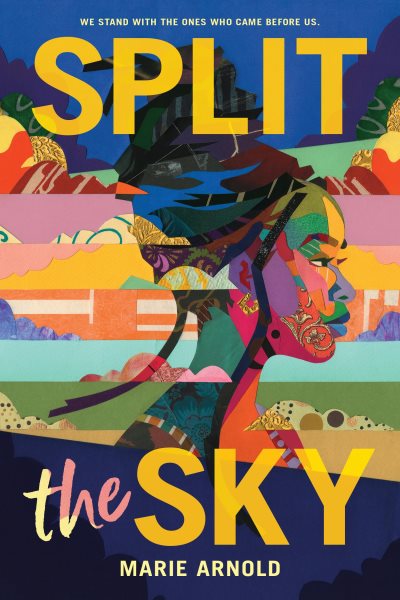 Cover art for Split the sky / Marie Arnold.