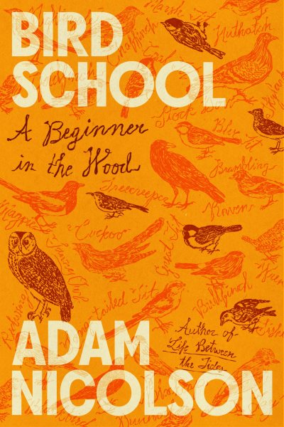 Cover art for Bird school : a beginner in the wood / Adam Nicolson.