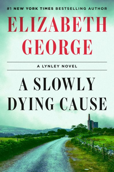 Cover art for A slowly dying cause / Elizabeth George.
