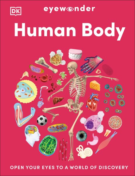 Cover art for Human body / [written and edited by Caroline Stamps]   illustrator