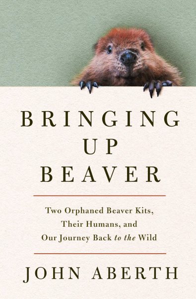 Cover art for Bringing up beaver : two orphaned beaver kits