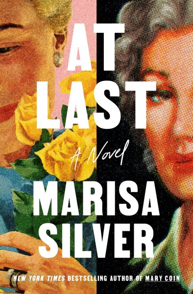 Cover art for At last : a novel / Marisa Silver.