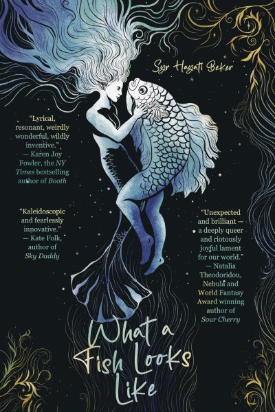 Cover art for What a fish looks like / Syr Hayati Beker.