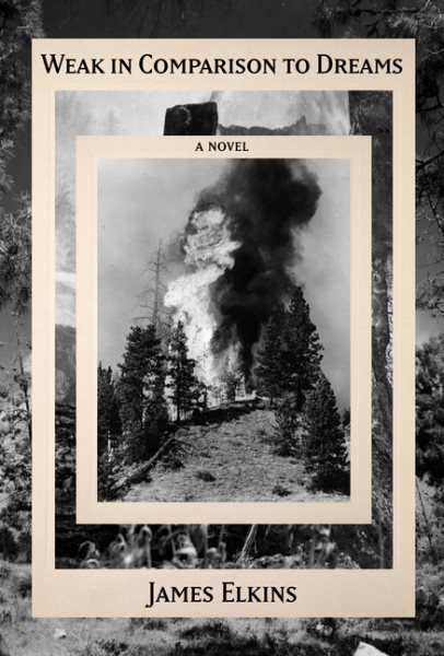 Cover art for Weak in comparison to dreams : a novel / James Elkins.