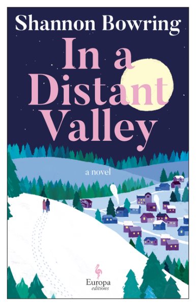 Cover art for In a distant valley : a Dalton novel / Shannon Bowring.