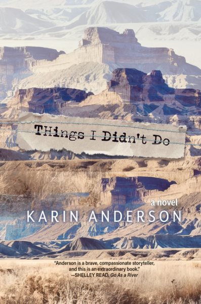 Cover art for Things I didn't do : a novel / Karin Anderson