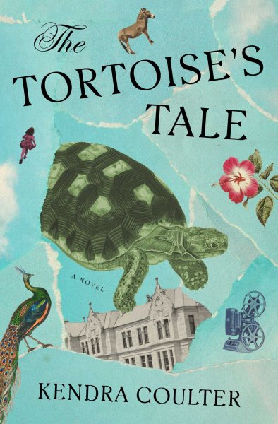 Cover art for The tortoise's tale : a novel / Kendra Coulter.