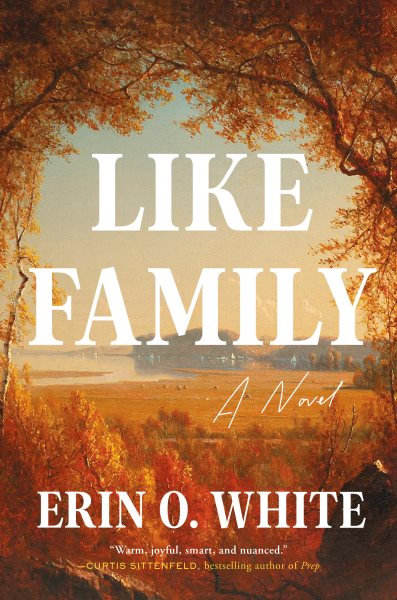 Cover art for Like family : a novel / Erin O. White.