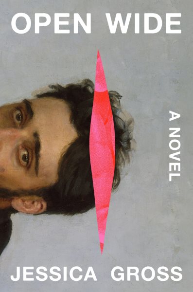 Cover art for Open wide : a novel / Jessica Gross.