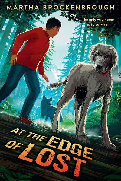 Cover art for At the edge of lost / Martha Brockenbrough.