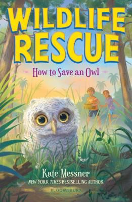 Cover art for How to save an owl / Kate Messner   illustrations by Jennifer Bricking.
