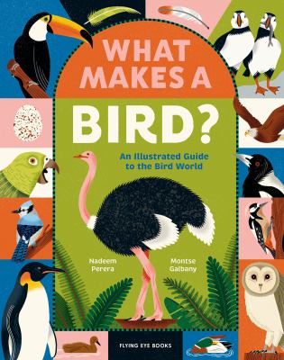 Cover art for What makes a bird? : an illustrated guide to the bird world / Nadeem Perera   Montse Galbany.