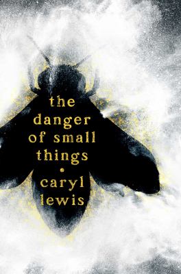 Cover art for The danger of small things / Caryl Lewis.